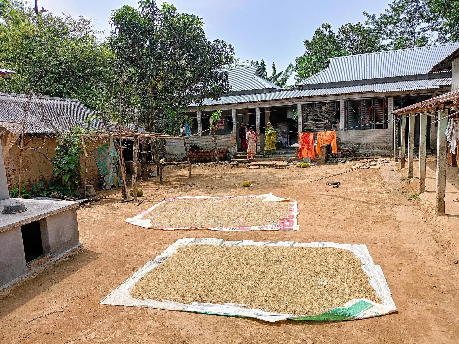 বরেন্দ্রের পানি বাঁচাতে এখনই যা করা দরকার