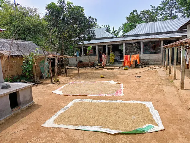 বরেন্দ্রের পানি বাঁচাতে এখনই যা করা দরকার